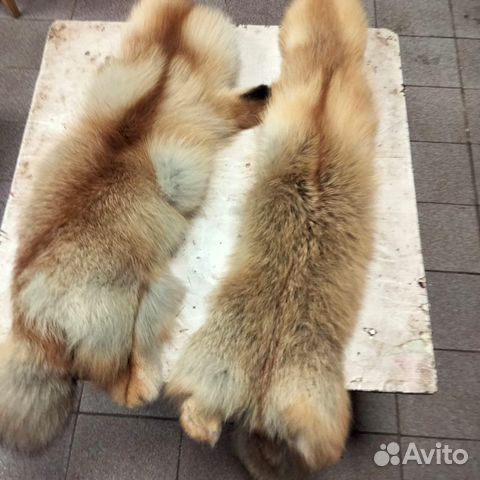 Продам две шкурки лисы выделанные 2 штуки