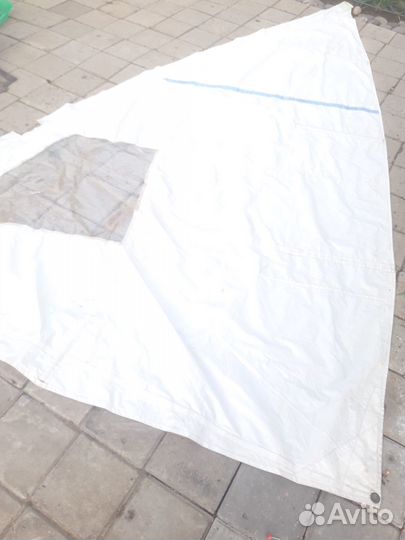 Парус для серфинга Мустанг