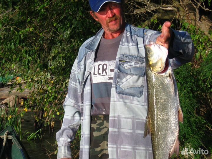 Организация рыбалки