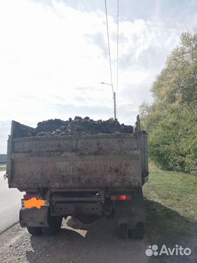 Конский навоз