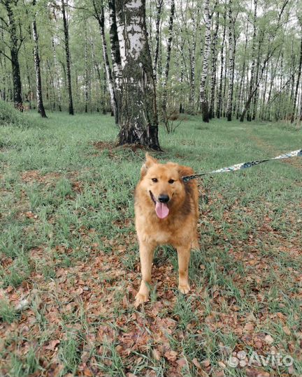 Жизнь наполнена страхом