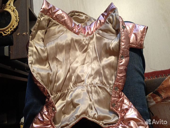 Одежда для собак