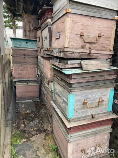 Продам ульи