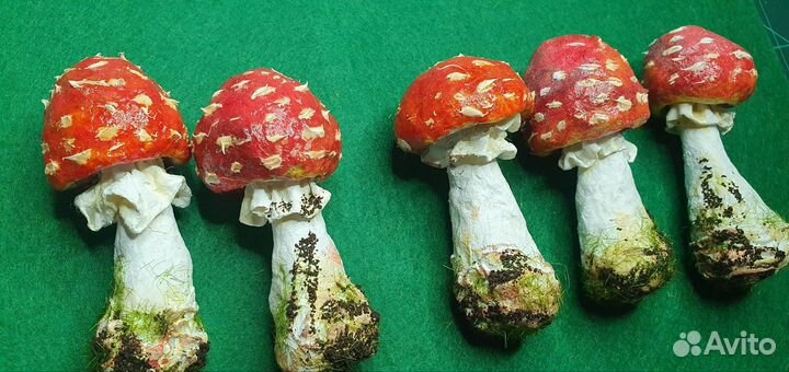 Мухомор