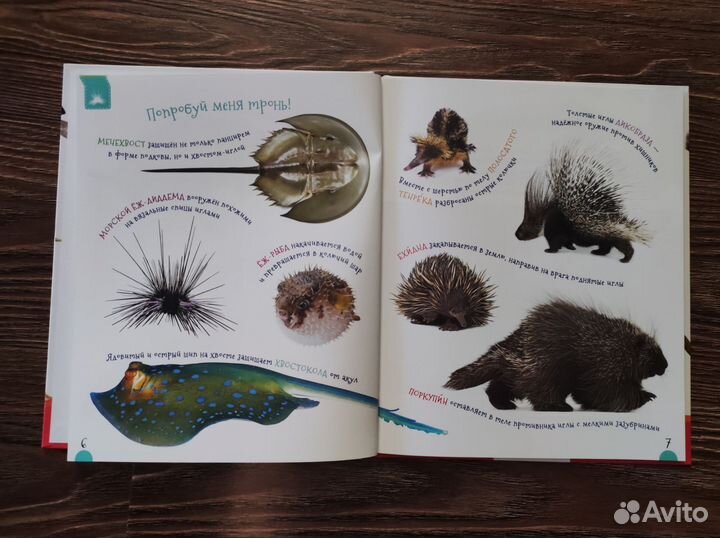 Детская развивающая книга новая