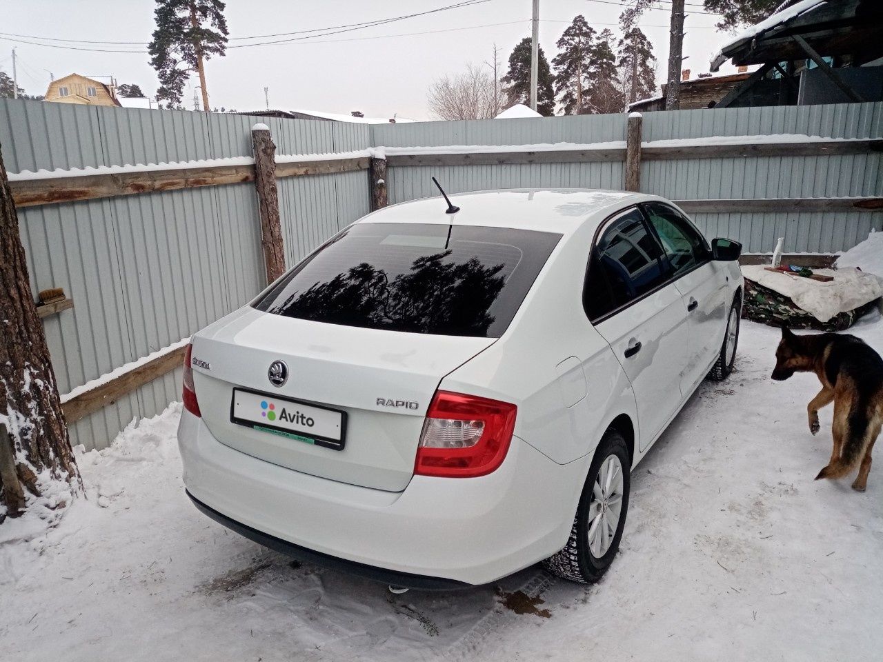 Skoda Rapid: фото владельца