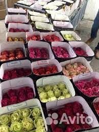 Бизнес на потовой продаже цвето (розы, тюльпаны)