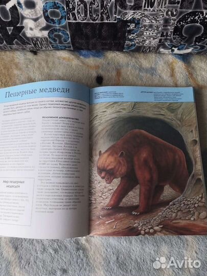 Книги. Энциклопедии