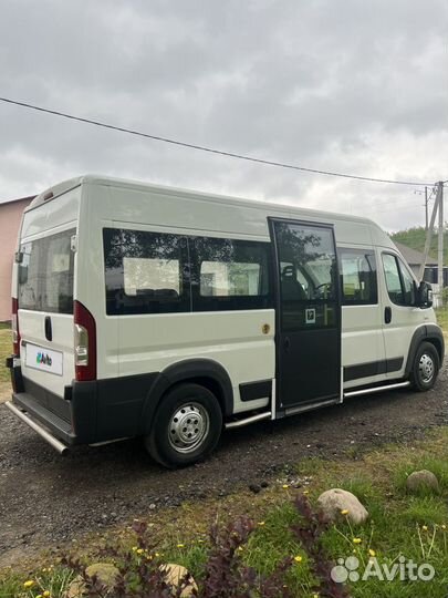 FIAT Ducato 2.3 МТ, 2012, 280 000 км