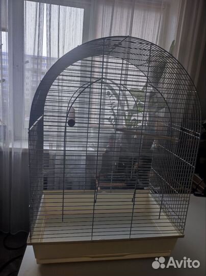 Клетка для попугая бу