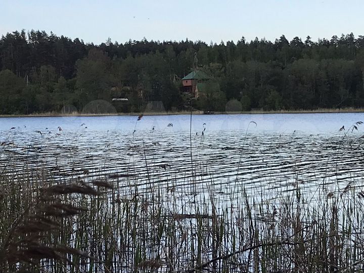 Участок 5,2 га (СНТ, ДНП)