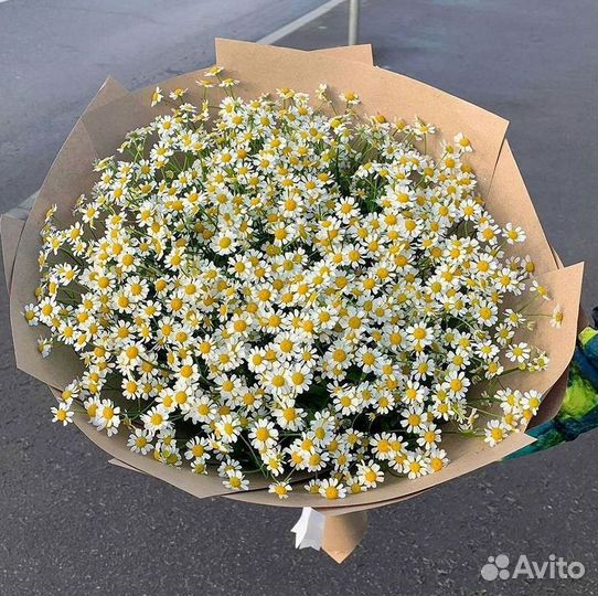 Букеты ромашек