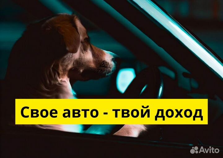 Яндекс Go ищет водителей на своих авто