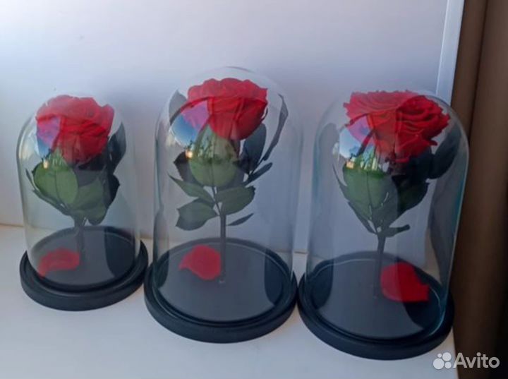 Роза в колбе