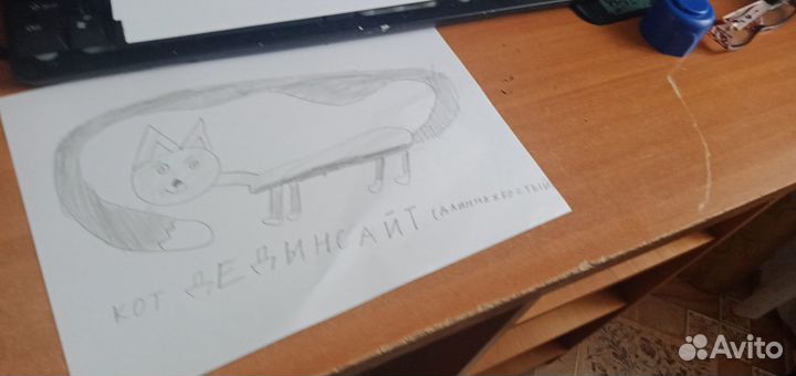 Кот дед инсайд
