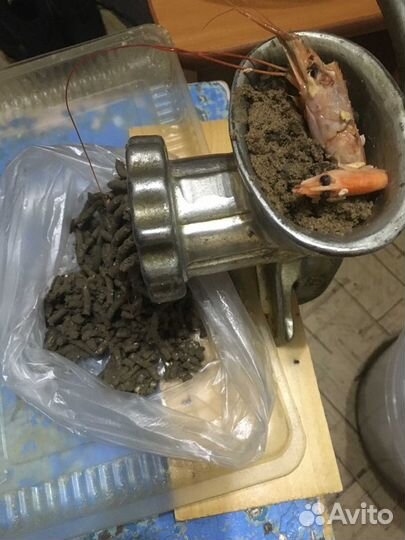 Прикормка для сига, корюха,наваги, камбалы