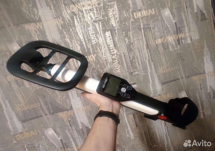 Металлоискатель Аренда(не китайский, не самоделка)