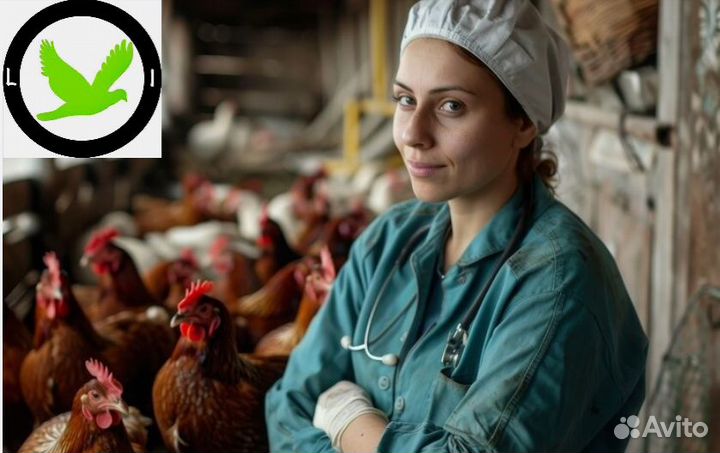 Укладчик упаковщик на произодстве