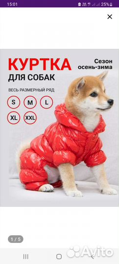 Куртка для собак