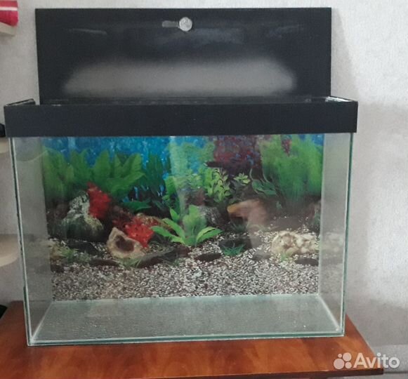 Аквариум 80 литров