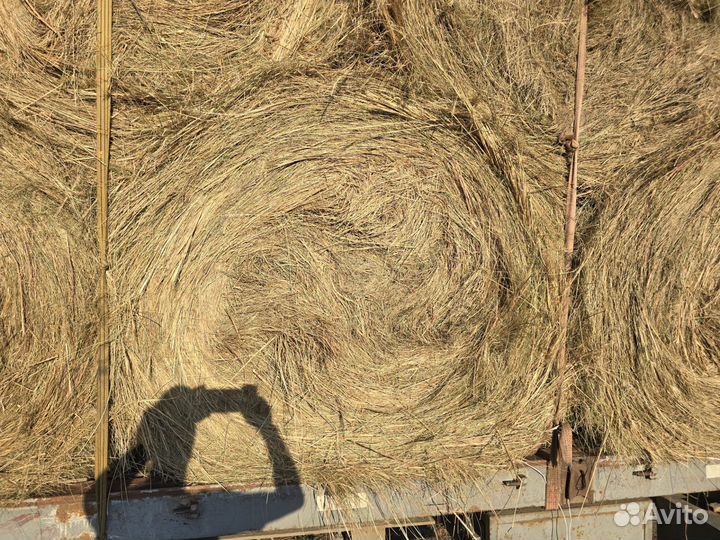 Сено. Доставка