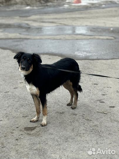 Супер умная девочка