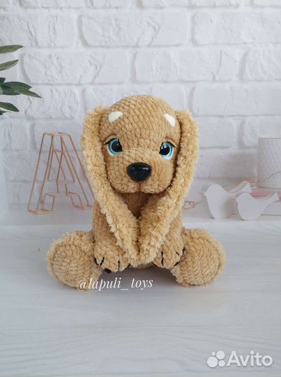 Собака спаниель