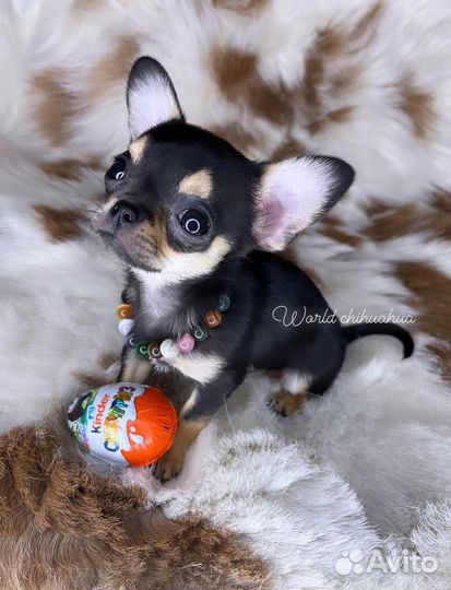 Супер Мини Куколка