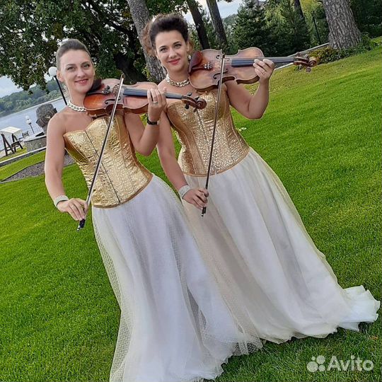 Музыканты, скрипка, скрипичный дуэт