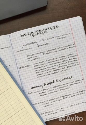 Написание конспектов,напишу от руки,конспекты