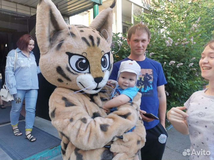 Ростовая кукла аниматор котёнок 