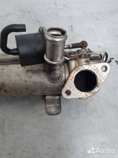 Радиатор EGR Volkswagen Transporter T5 2008