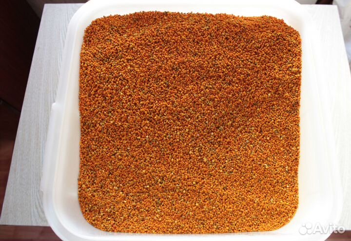 Пыльца пчелиная, обножка весенняя 2024г