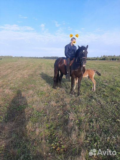 Продам кобылу