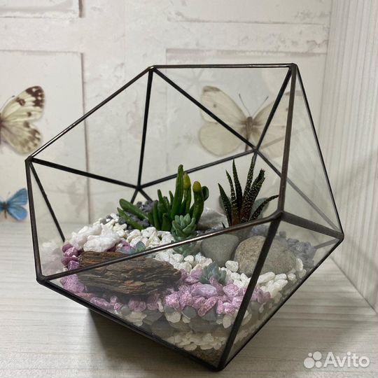 Флорариумы на любой вкус