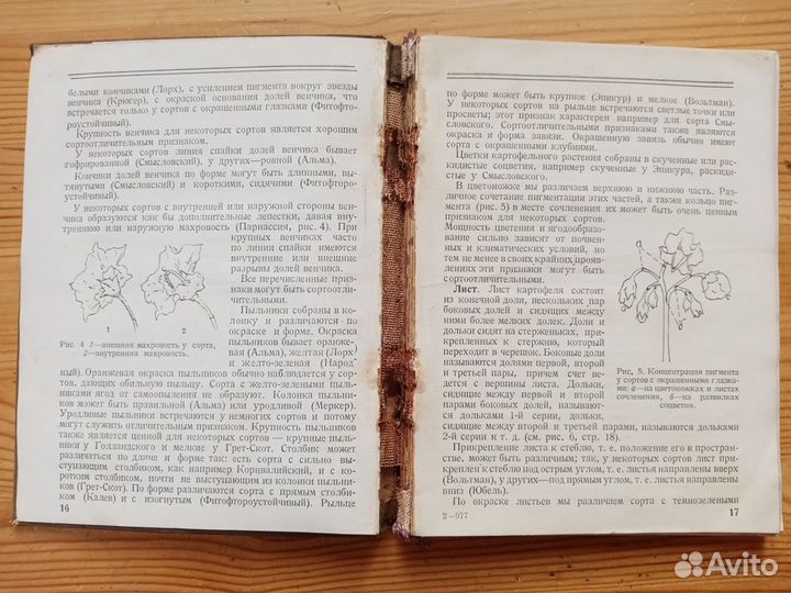 Определитель сортов картофеля. Н.Д. Зайцева. 1939