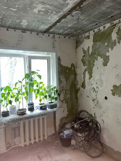 Комната 12 м² в 1-к., 3/9 эт.