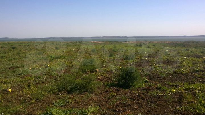 Участок 1,4 га (СНТ, ДНП)