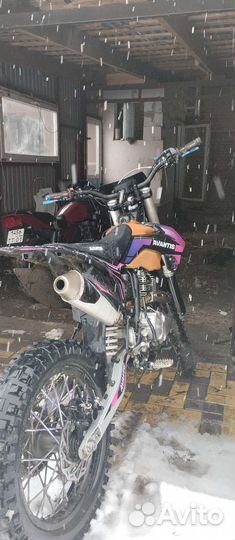 Avantis FX 250 Lux
