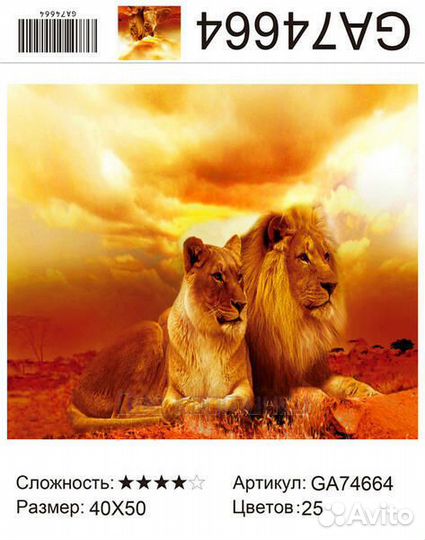 Алмазная мозаика 40x50 Львица и ее лев на закате д