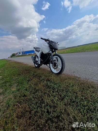 Рейсер нитро