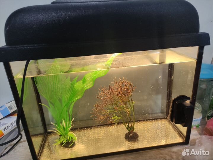 Аквариум 10 л с подсветкой и украшениями
