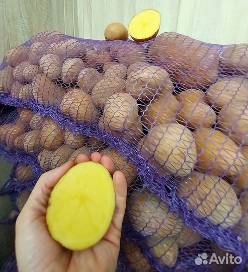 Купите картофель