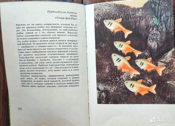 Книга аквариумные рыбы
