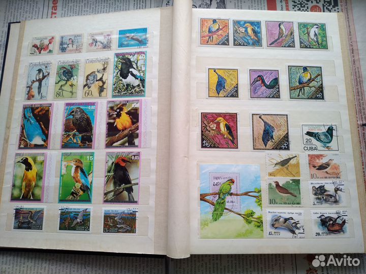 Альбом с марками. Фауна и флора