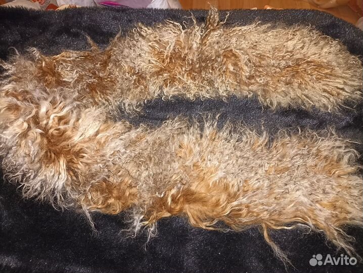 Лама воротник и манжеты