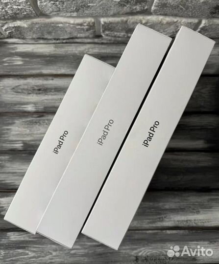 iPad Pro 11 M4 (2024) 256Gb