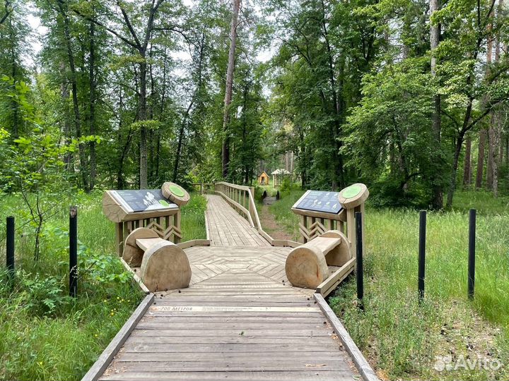 Автобусный тур 