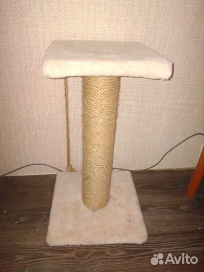 Когтеточка