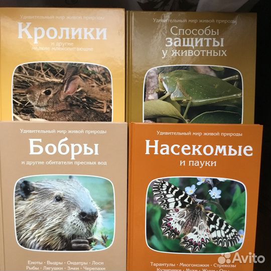 Удивительный мир живой природы